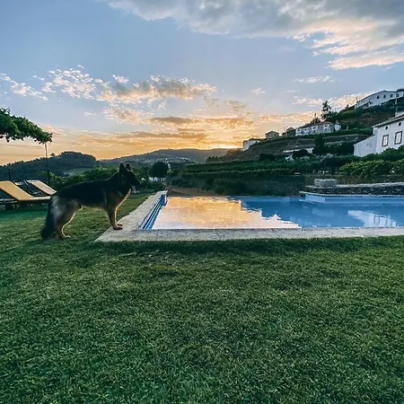 Casa D' Alem * Mesão Frio