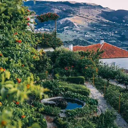 Casa D' Alem Vakantieboerderij Mesão Frio