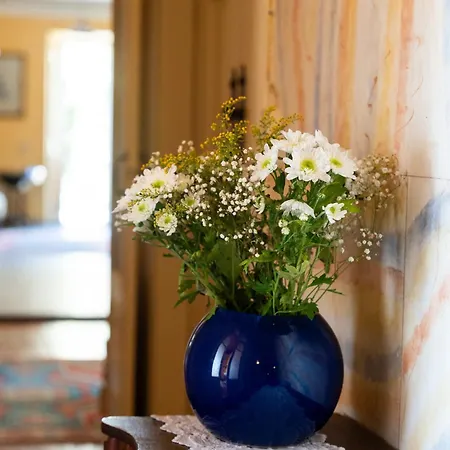 Farm stay Casa D' Alem *