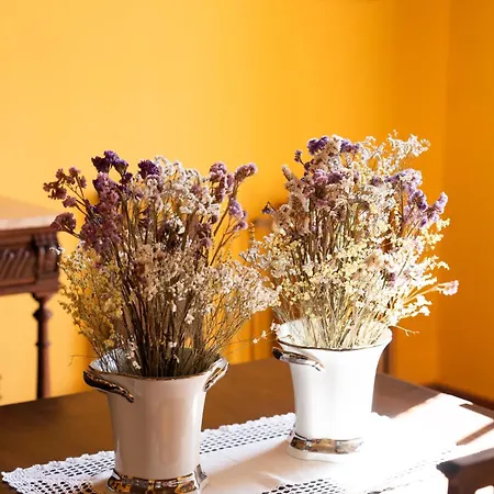 Casa D' Alem Mesão Frio