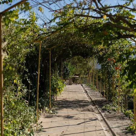Casa D' Alem Farm stay