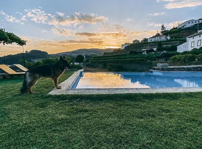 Casa D' Alem * Mesão Frio