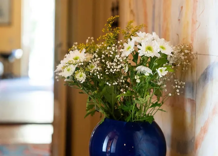 Фермерский дом Casa D' Alem *