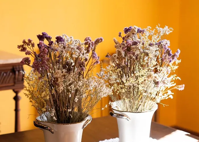 Casa D' Alem Мезан-Фриу