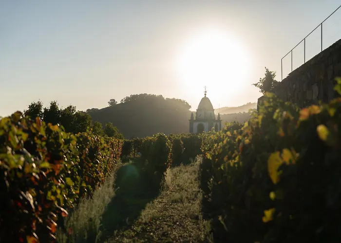 Casa D' Alem * Мезан-Фриу